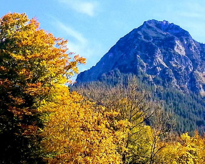 Berggasthof-Cafe Mayr